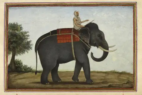 British Library Illustration Archive on Flickr preview