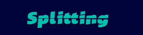 Preview of Splitting.js