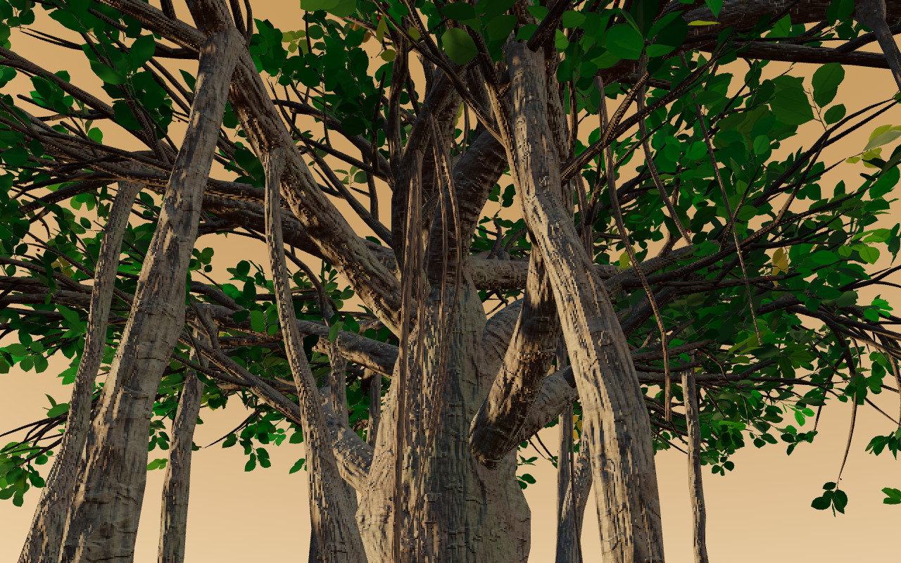 Preview of Banyan